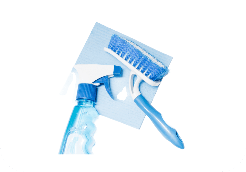 Window Cleaning service