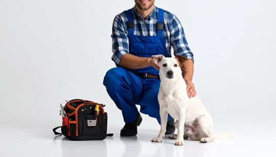Pet Sitting service